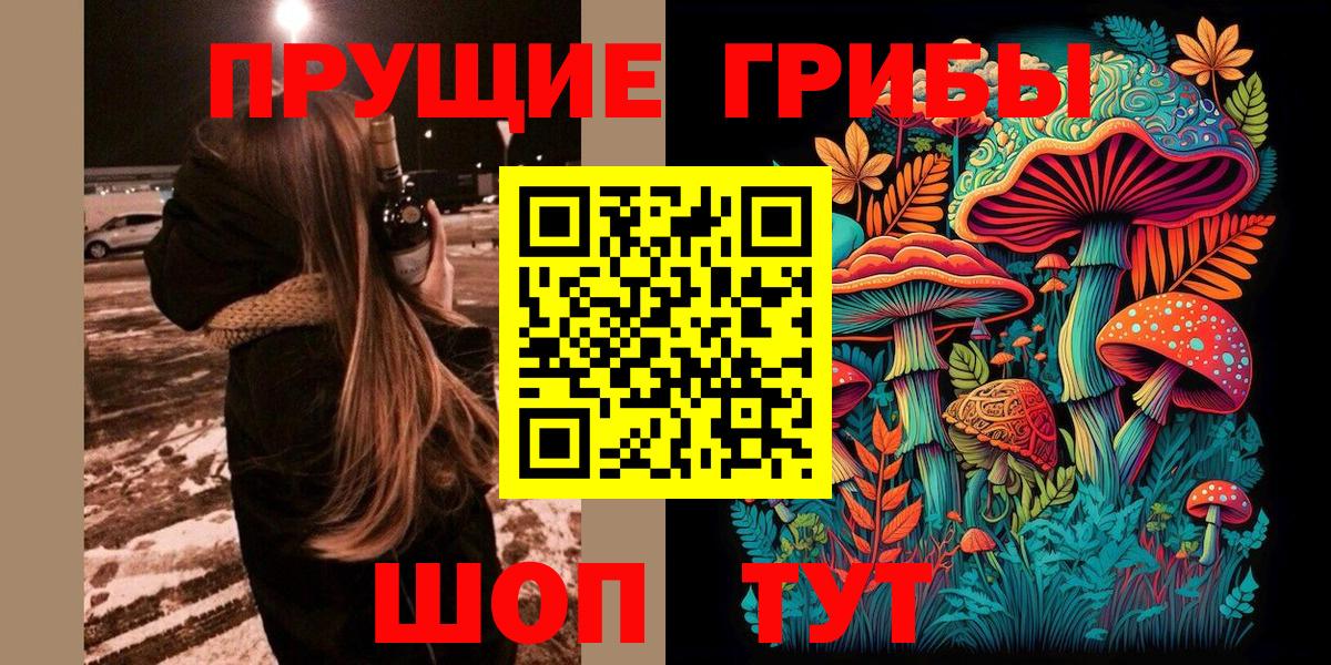 Галлюциногенные грибы Psilocybine cubensis Мирный
