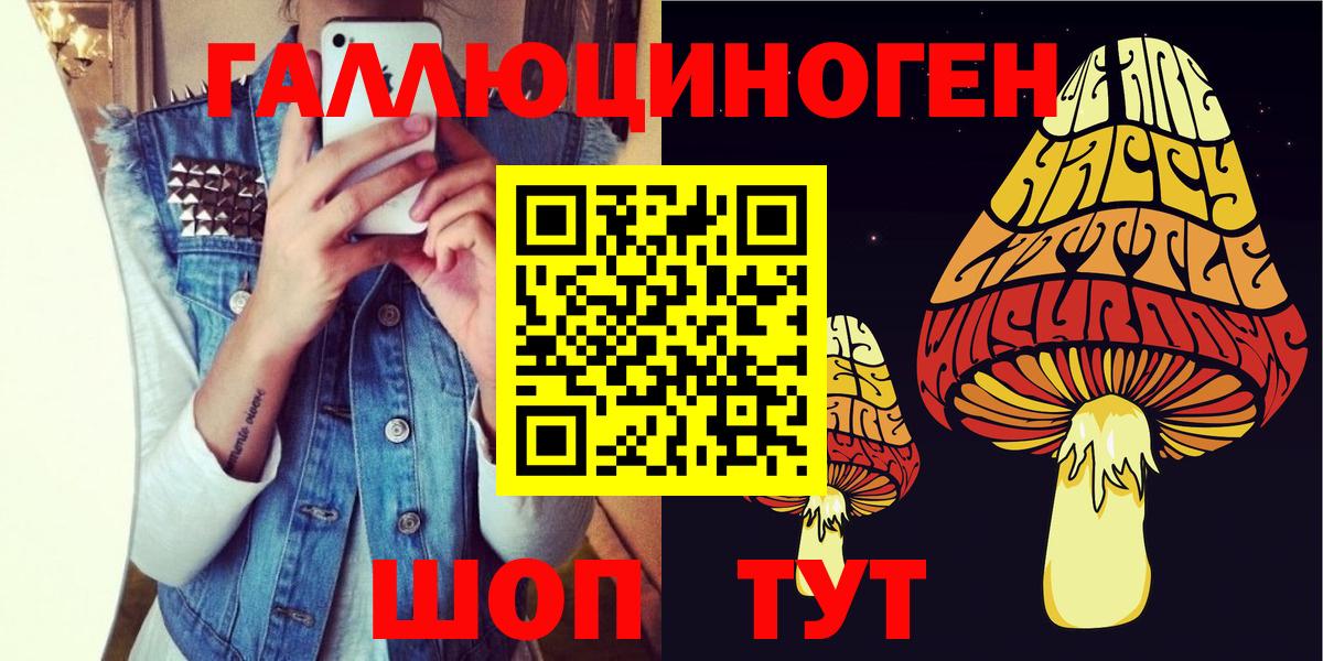 Псилоцибиновые грибы Psilocybine cubensis  Вход с VPN  Мирный 